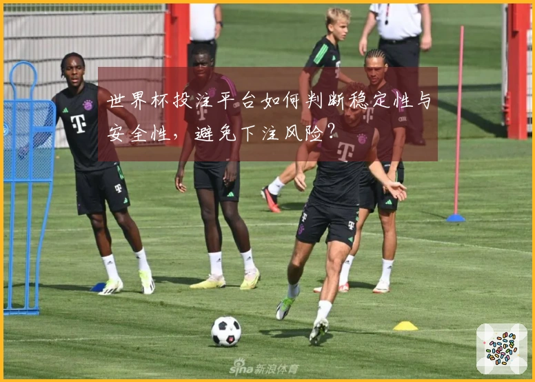 世界杯投注平台如何判断稳定性与安全性，避免下注风险？